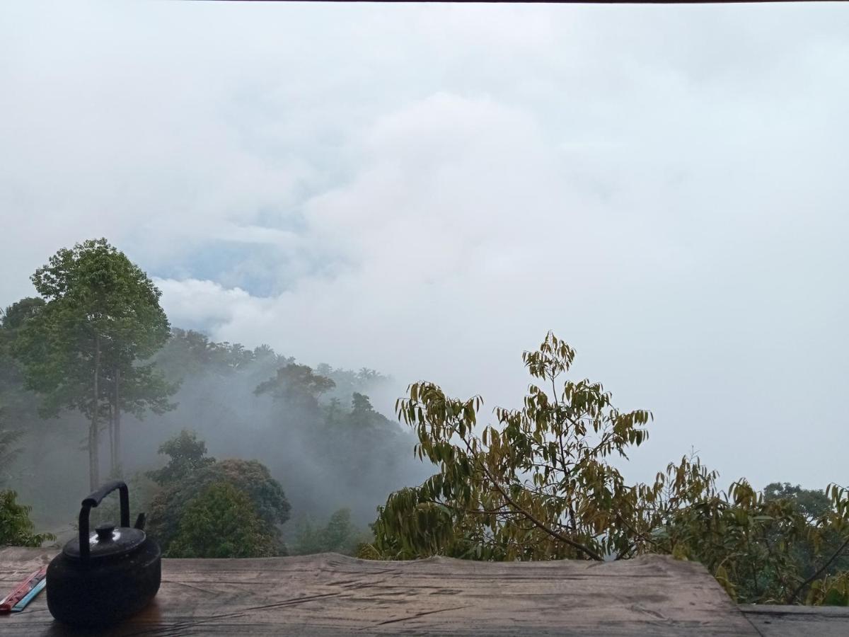 Phulipa Jungle Camp * Ko Samui