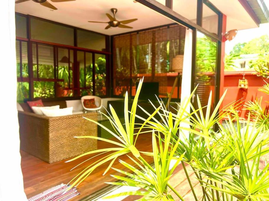 Jungle Pool Holiday home *
