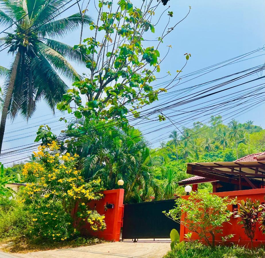 Jungle Pool Holiday home