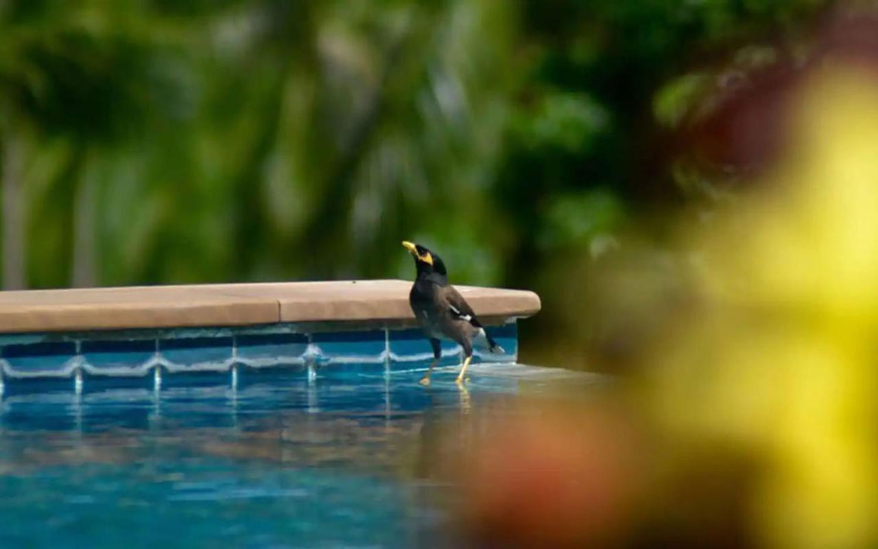 E * Taling Ngam (Koh Samui)