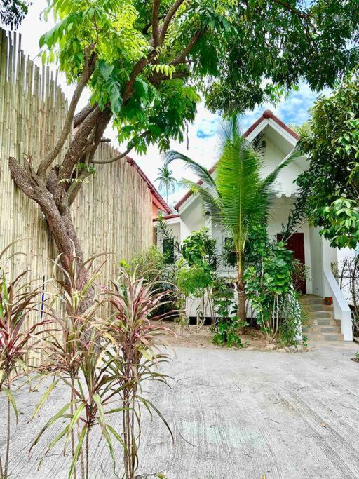 Melo * Koh Samui