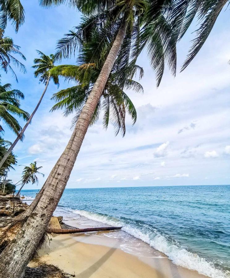 Baloo Samui