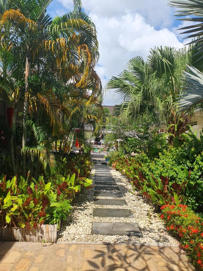 Tropicalpalm *