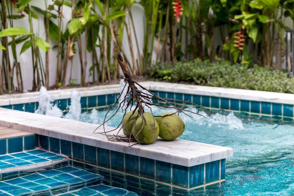 Mango With Staff Villa *