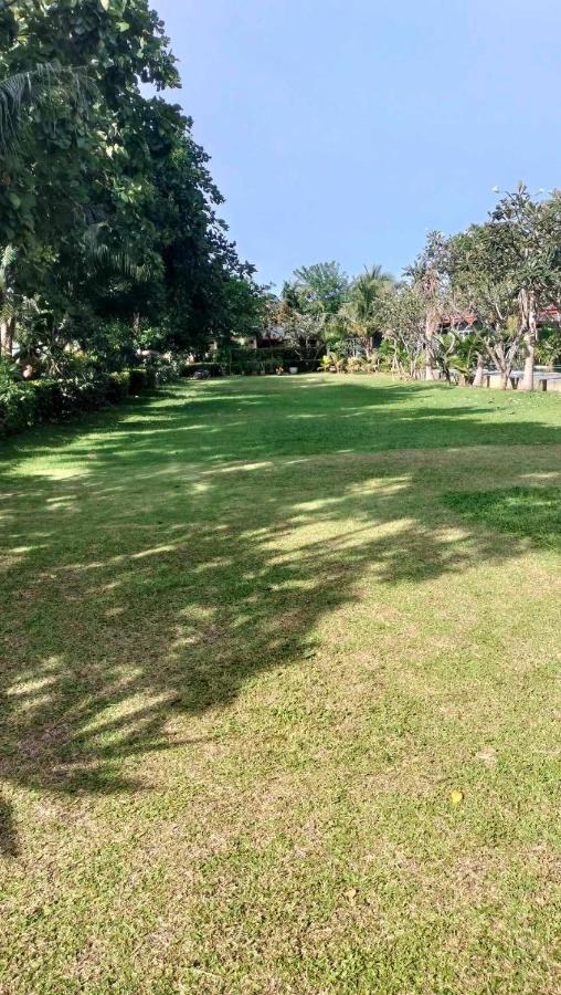 Airport Garden *