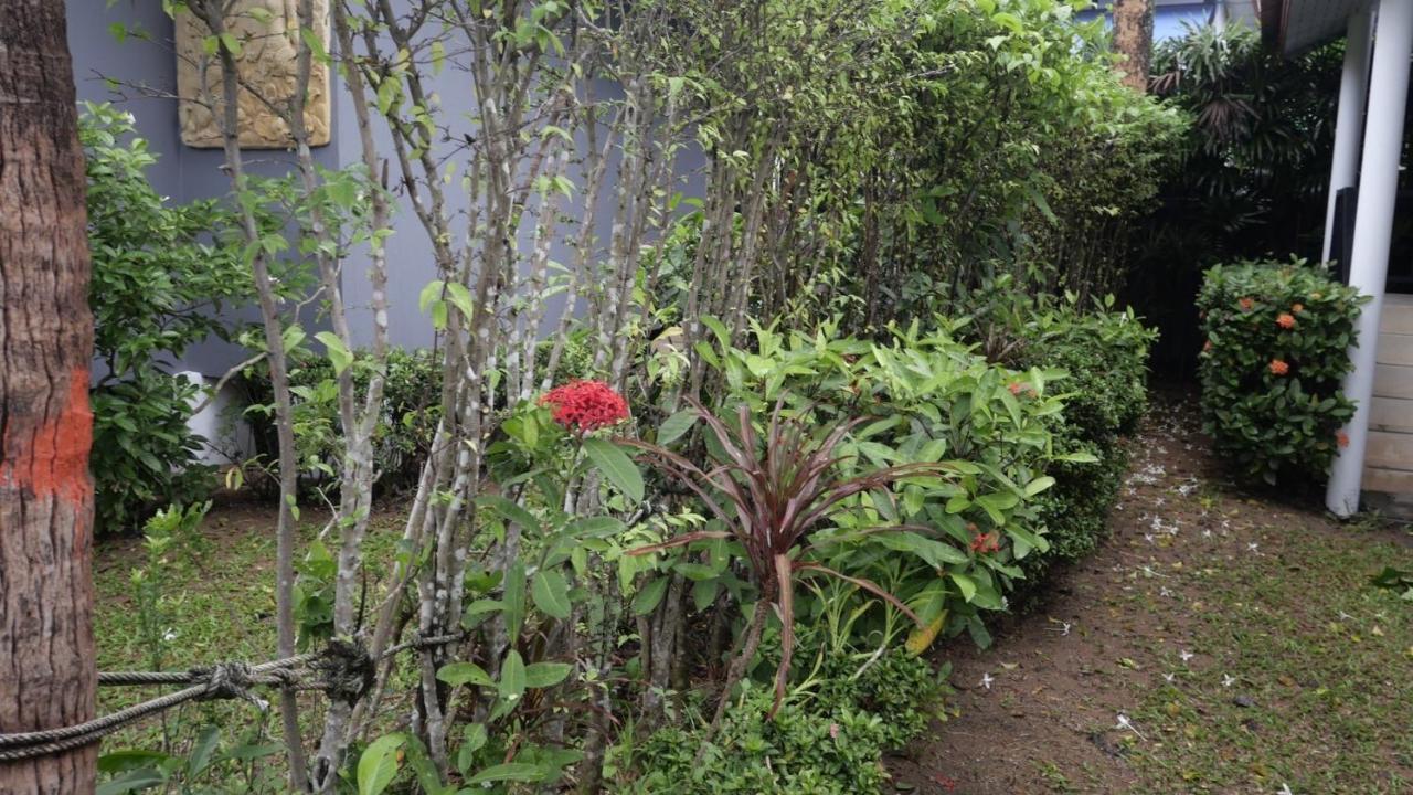Airport Garden Amphoe Koksamui