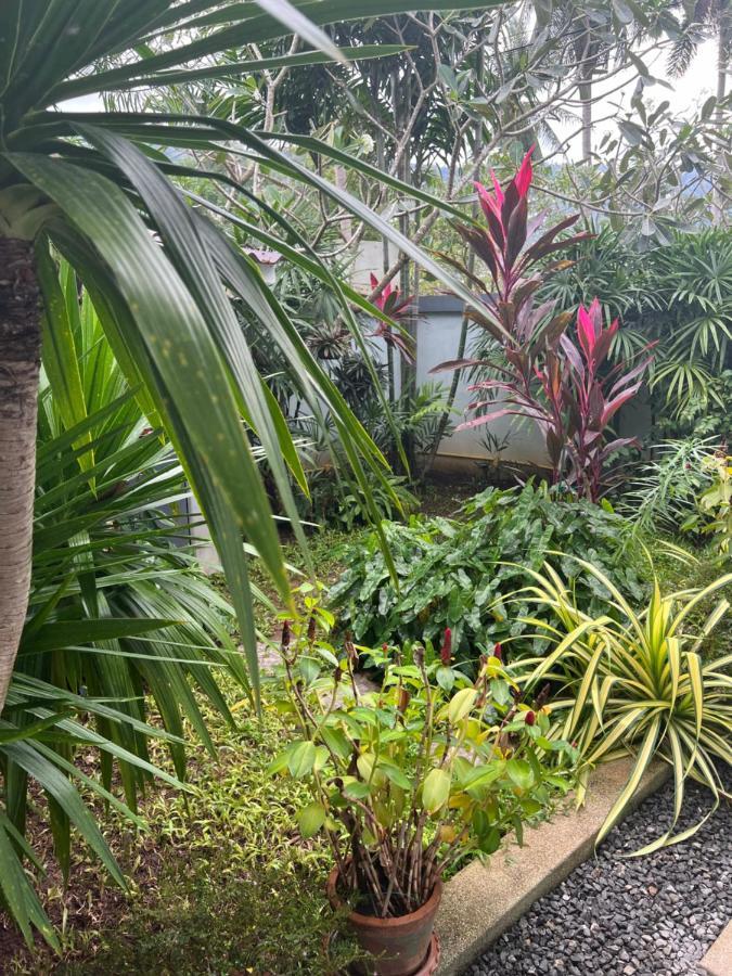 Homestay Roland