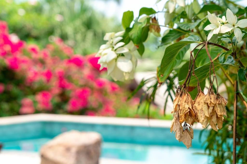 Privatbeach Residences 29 Villa *