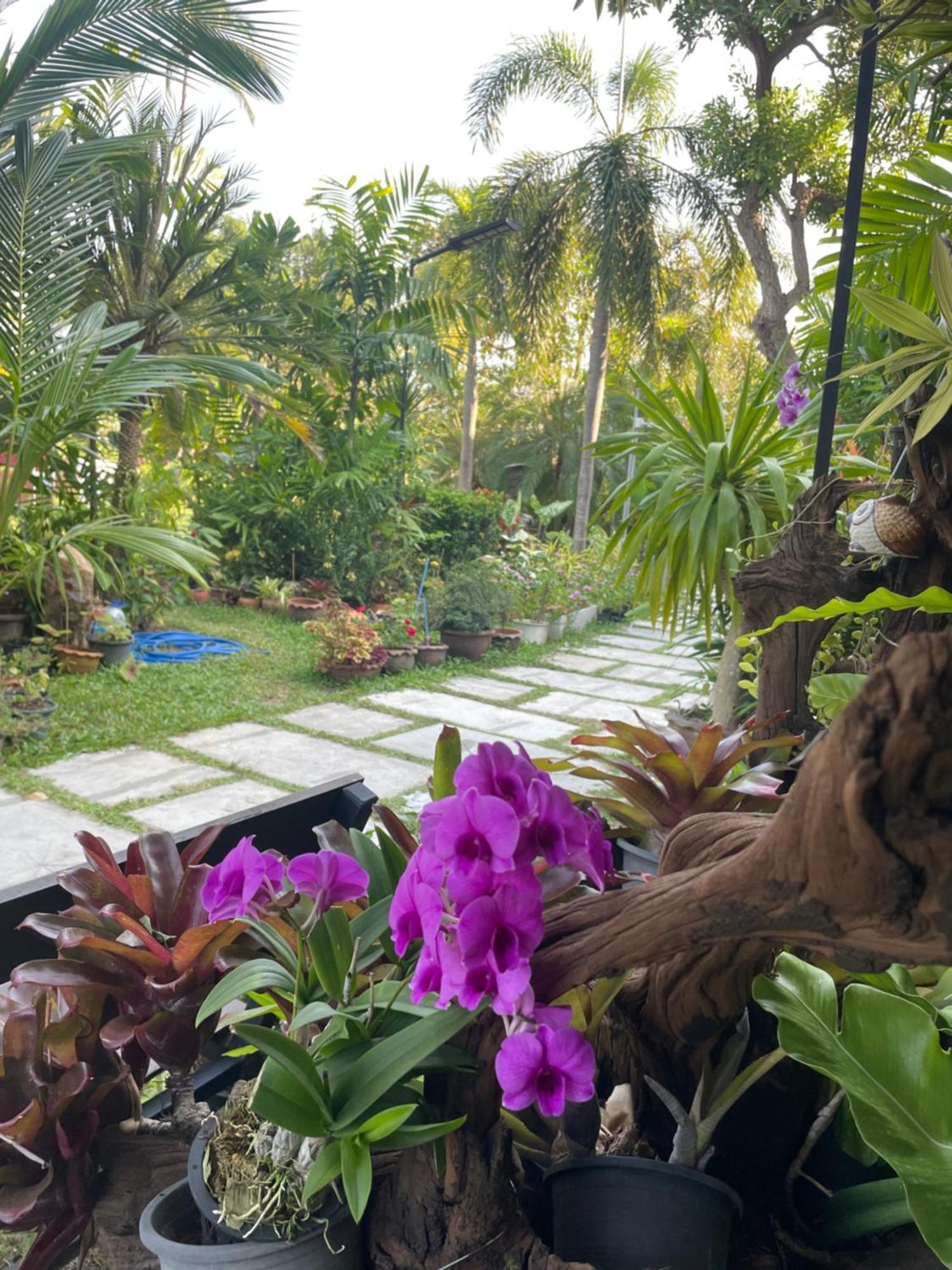 Resort Grand Manita Lamai Beach (Koh Samui)