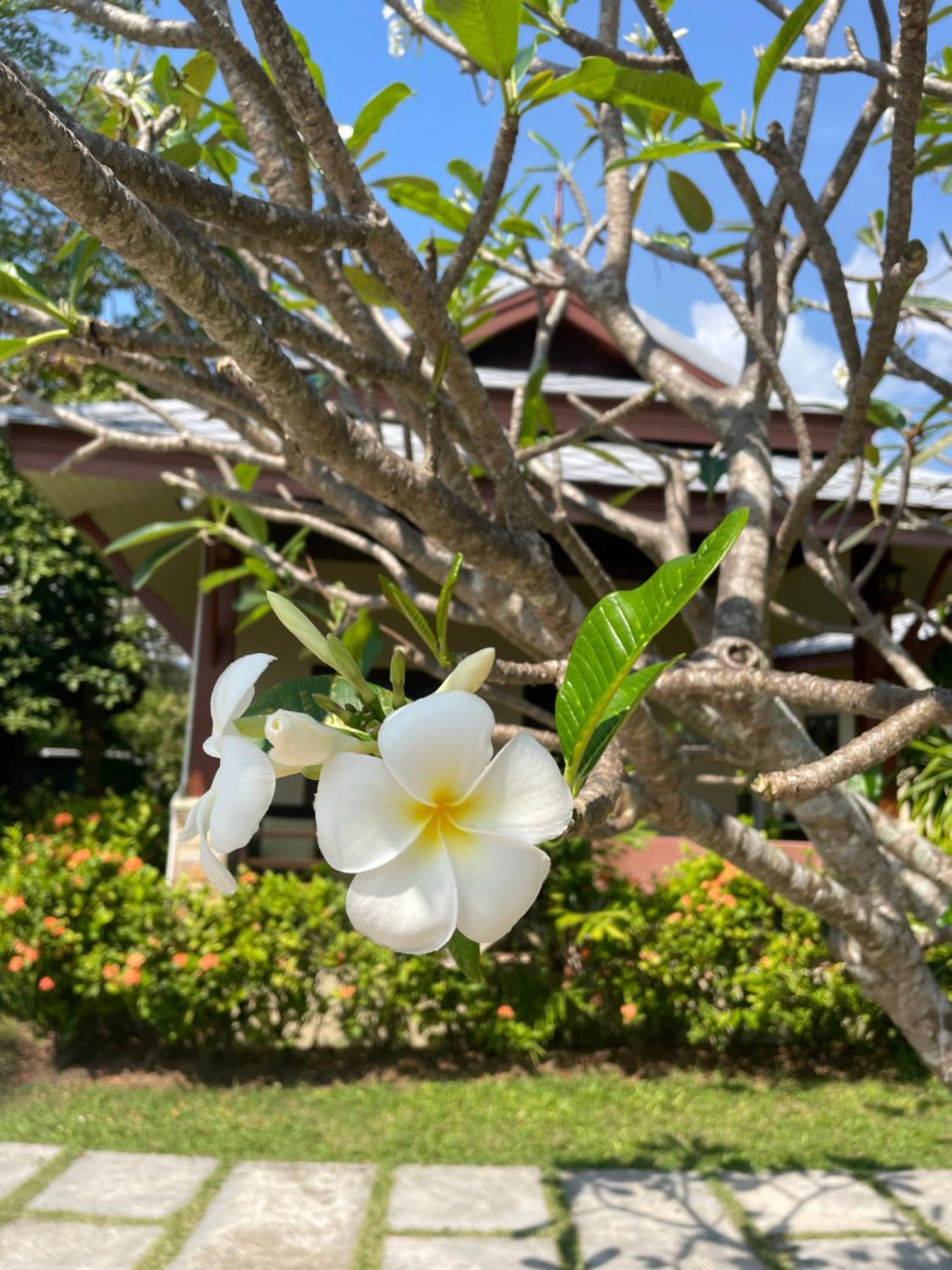 Grand Manita Lamai Beach (Koh Samui)