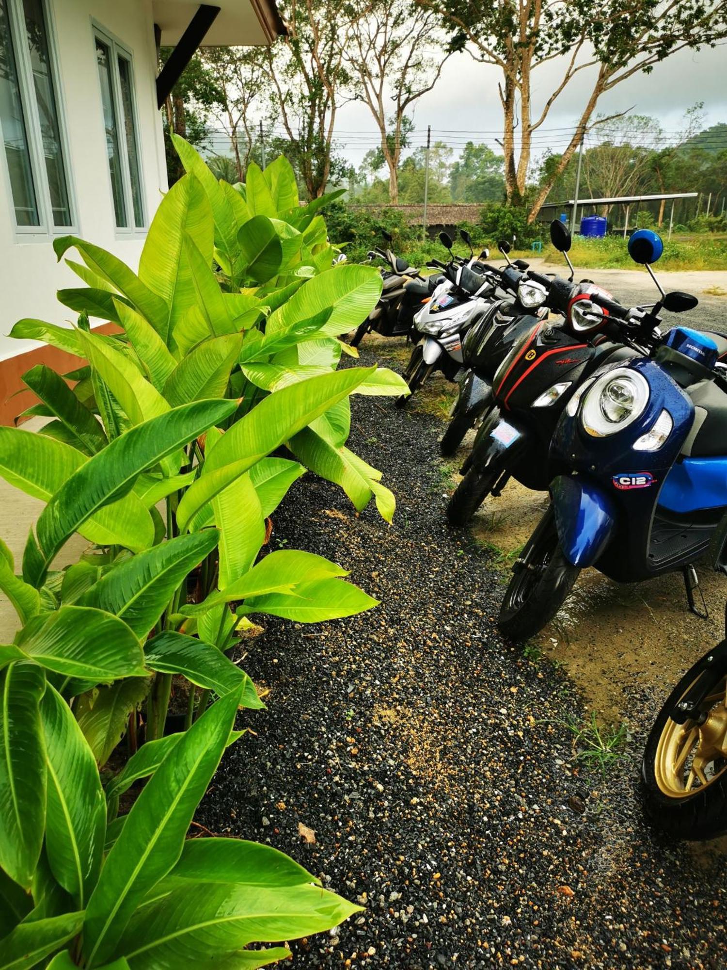 Hostel Bbvc - Collegestay *