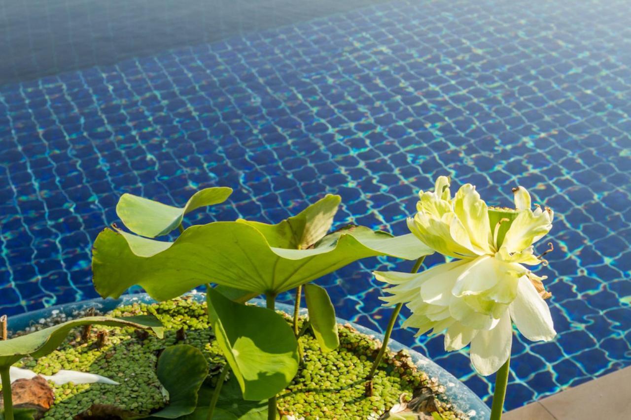 Alpha - Seaview Private Villa