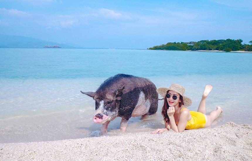 Hotel Samui Platinum