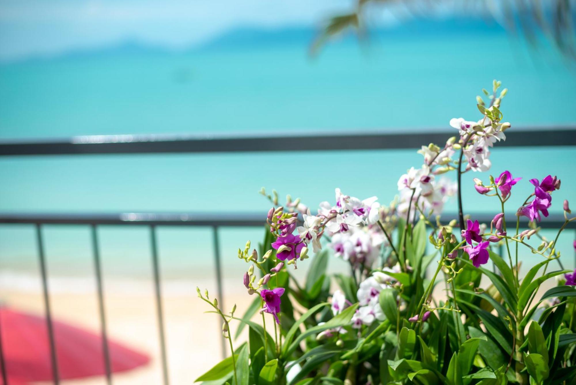 The Florist Hotel 3*