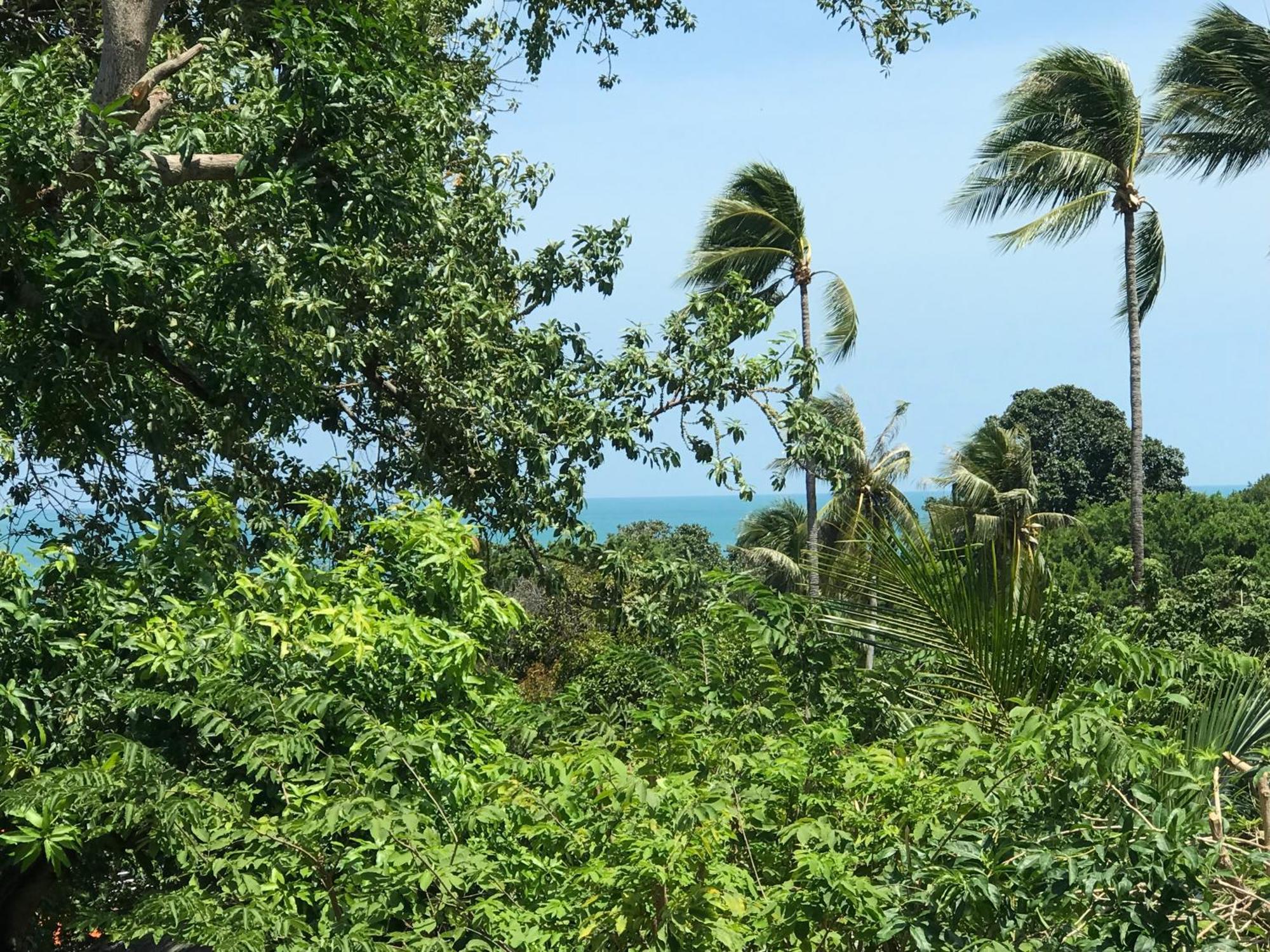 Private Beachside Samui Resort 2*