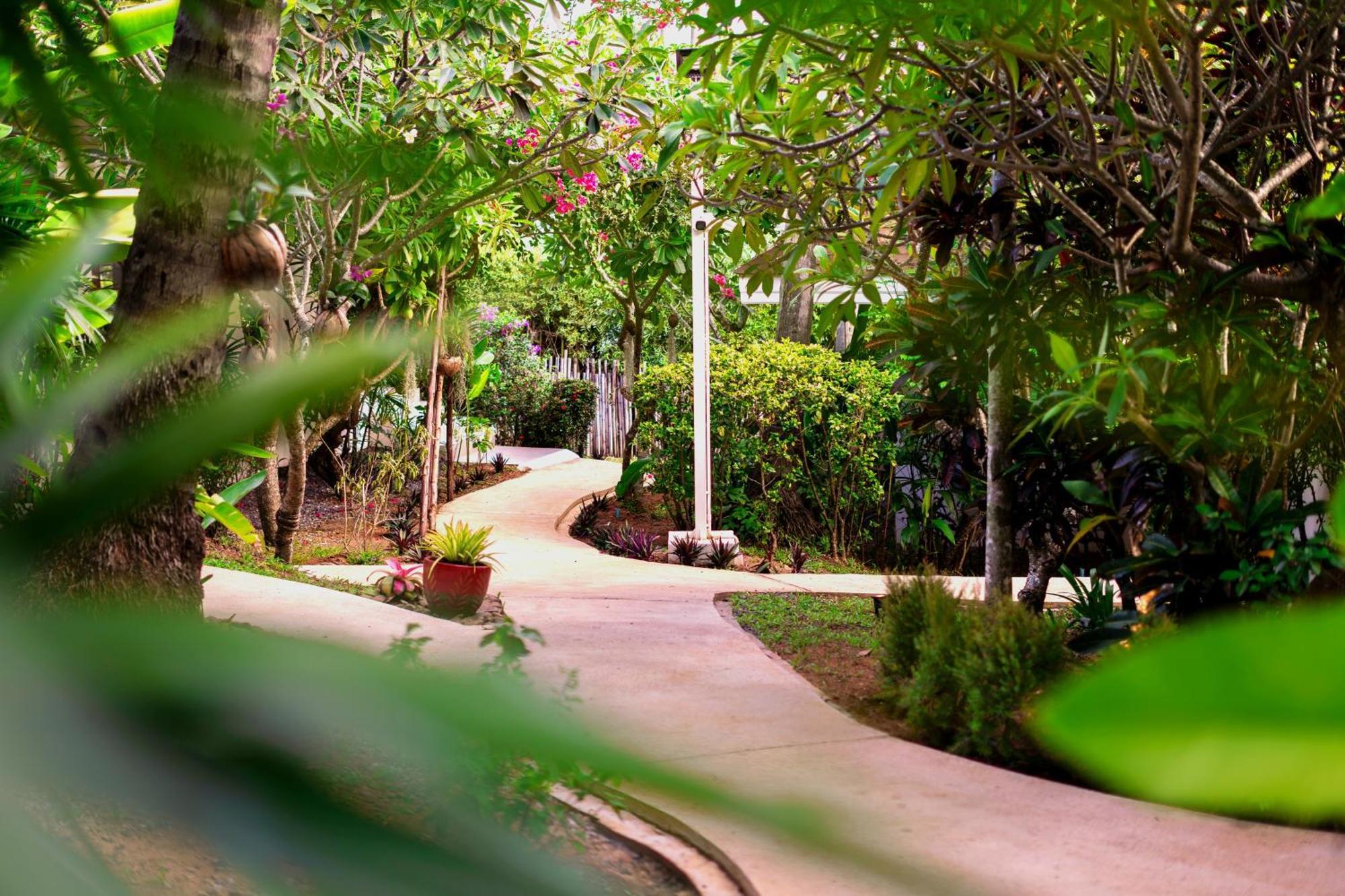 Orchid Samui - * Plage de Lamai