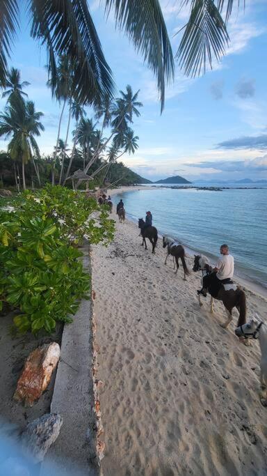 Samui Paradise Villa Lipa Noi