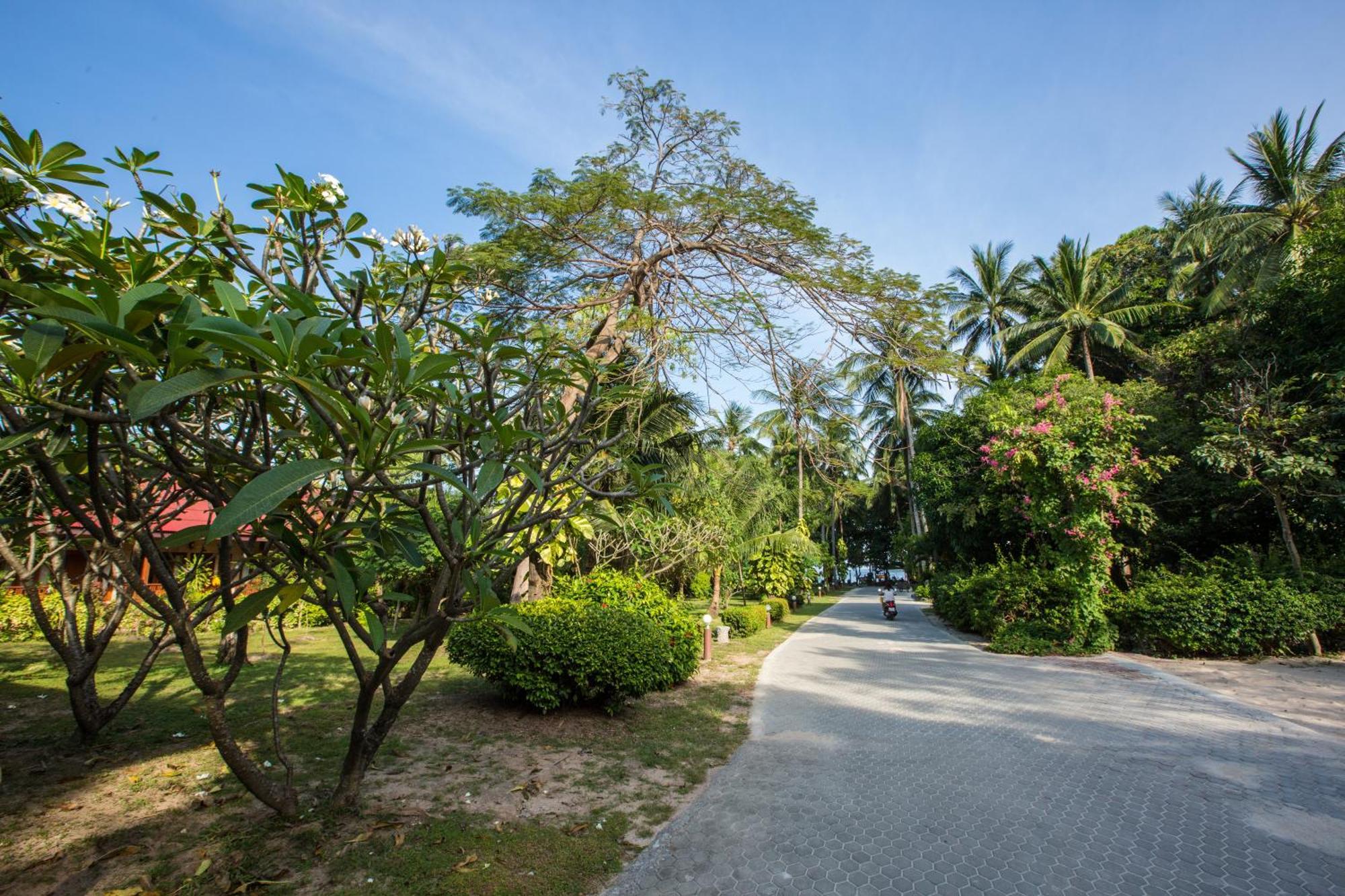 Resort Long Lodge, Beach, Koh Samui