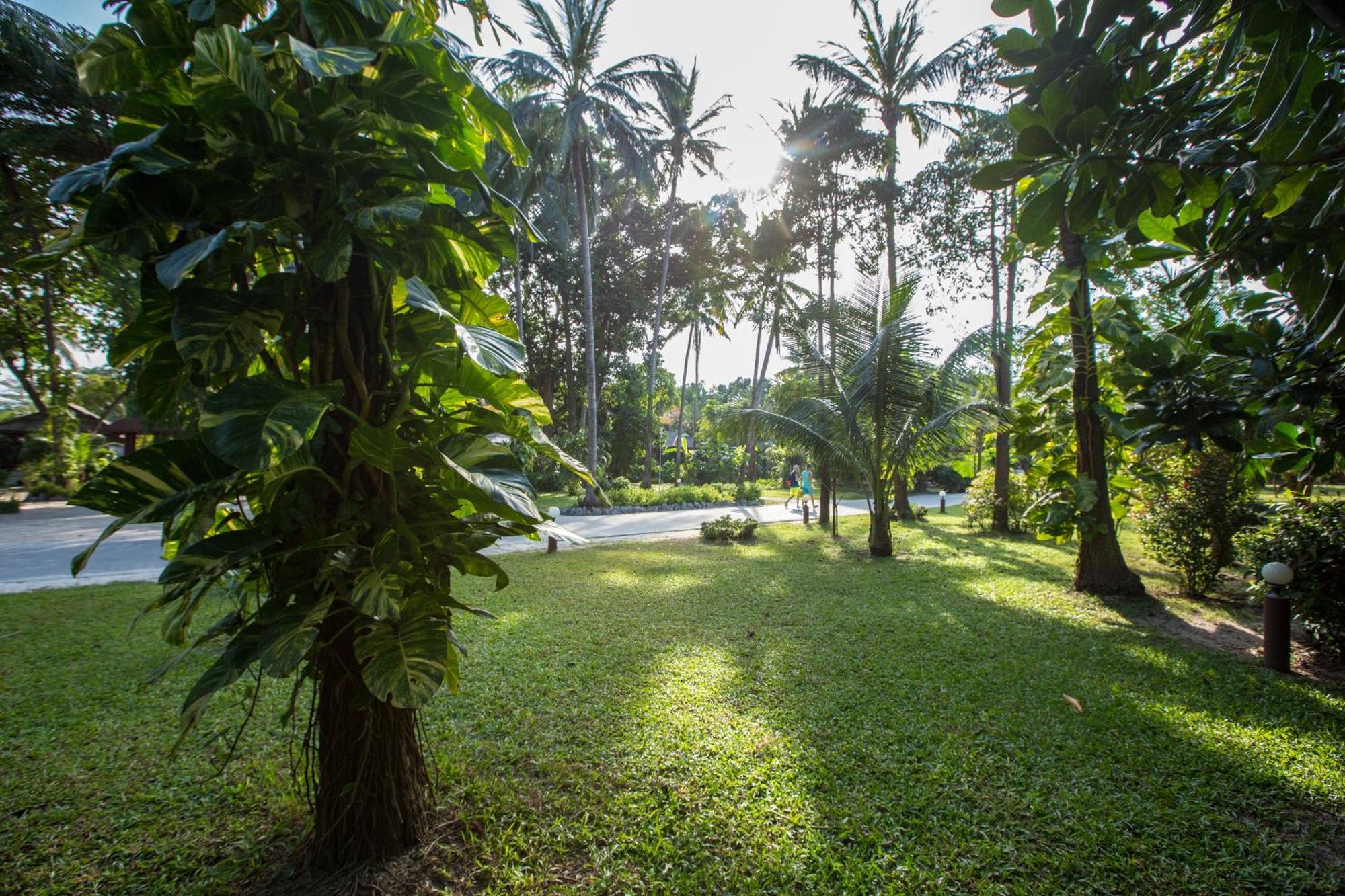 Long Lodge, Beach, Koh Samui 3* Chaweng (Koh Samui)