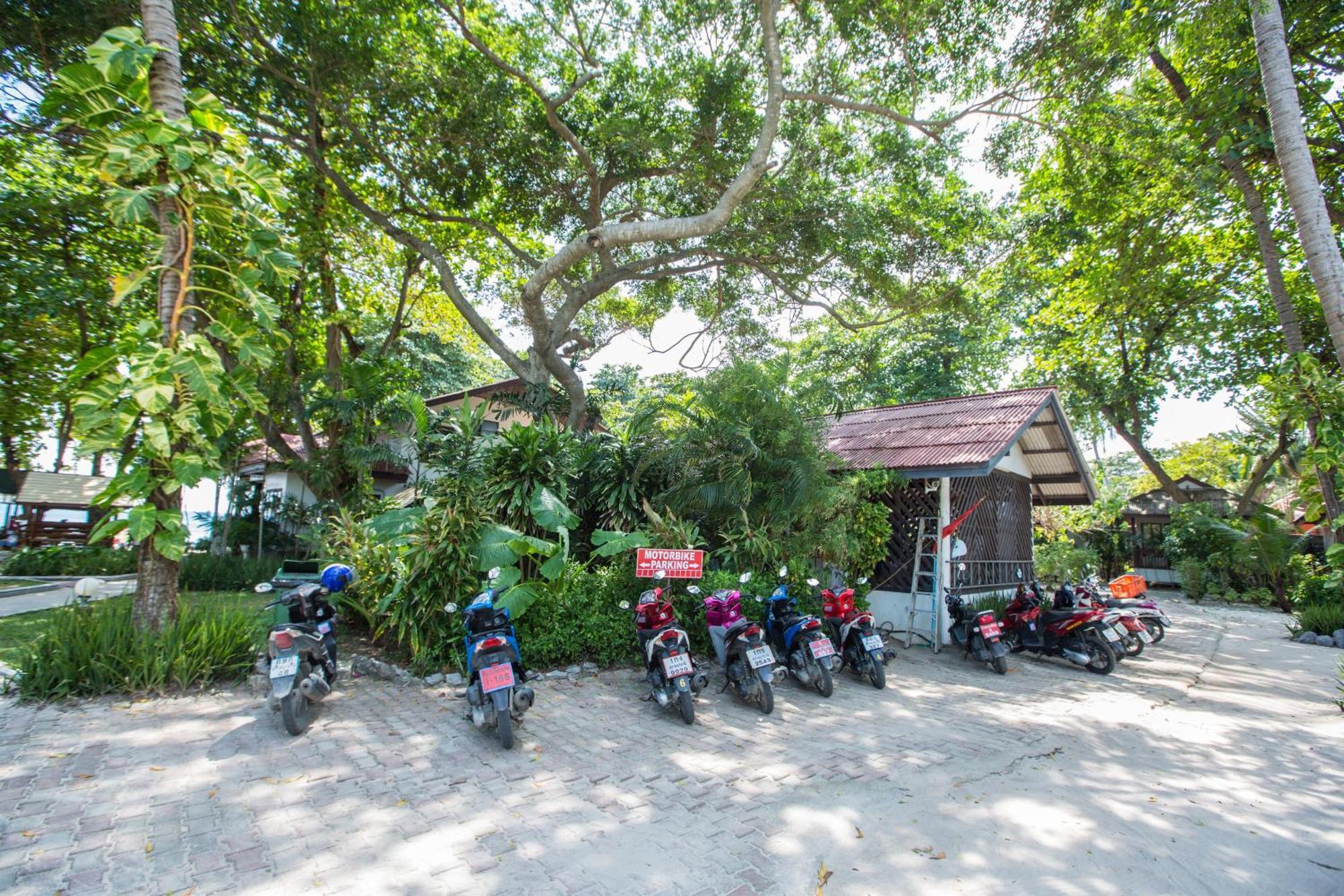 Resort Long Lodge, Beach, Koh Samui Chaweng (Koh Samui)