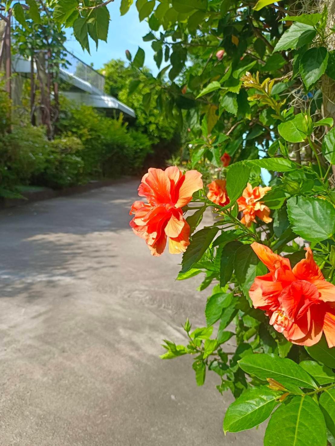 Phannarai House Resort Lamai Beach (Koh Samui)