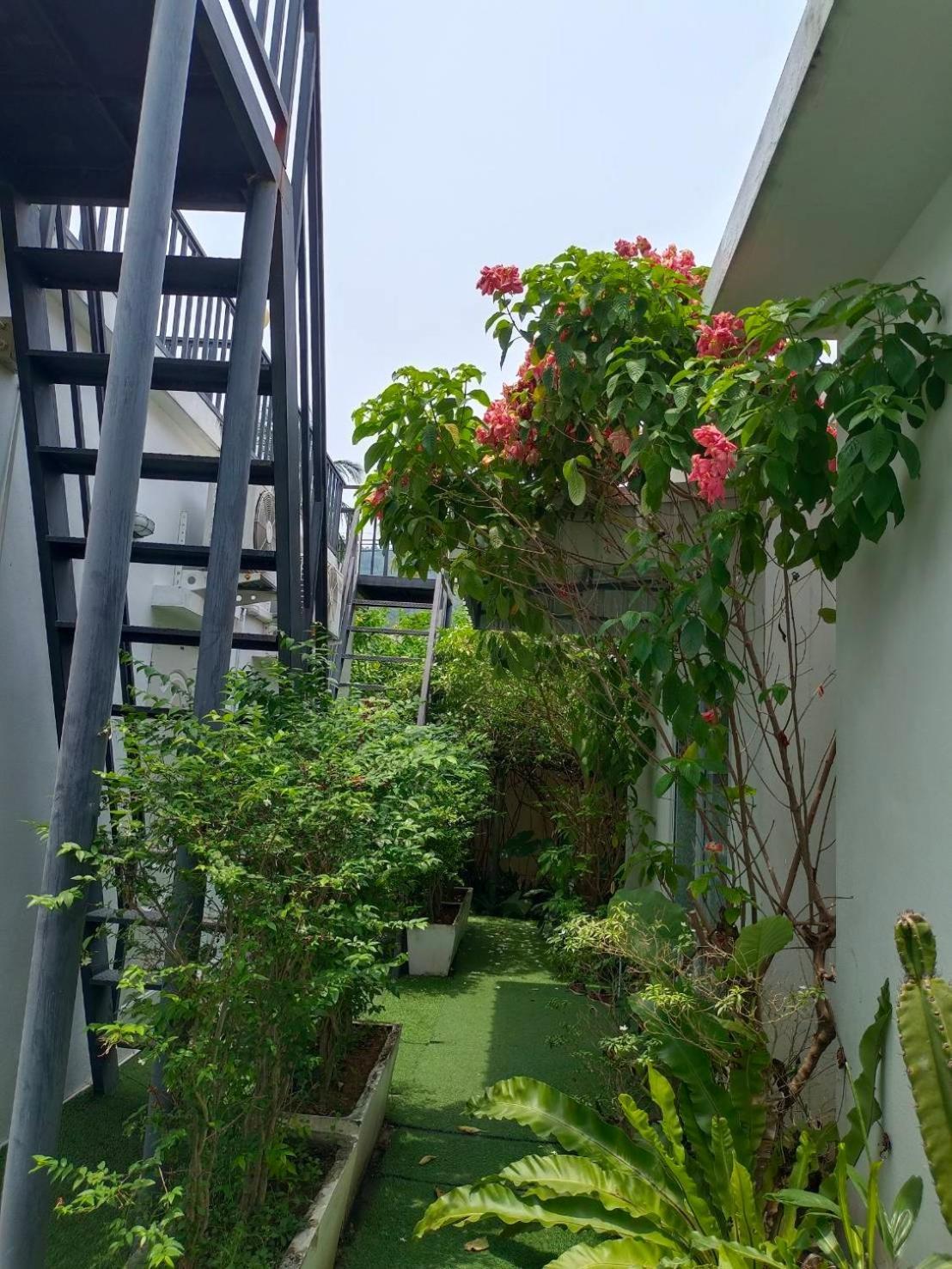 Phannarai House Resort Lamai Beach (Koh Samui)