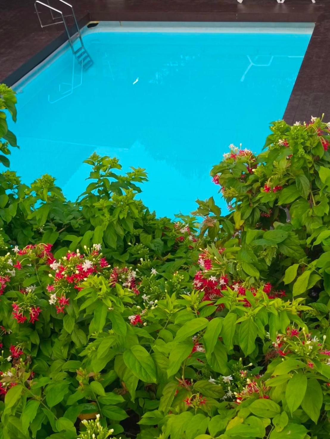Resort Phannarai House Lamai Beach (Koh Samui)