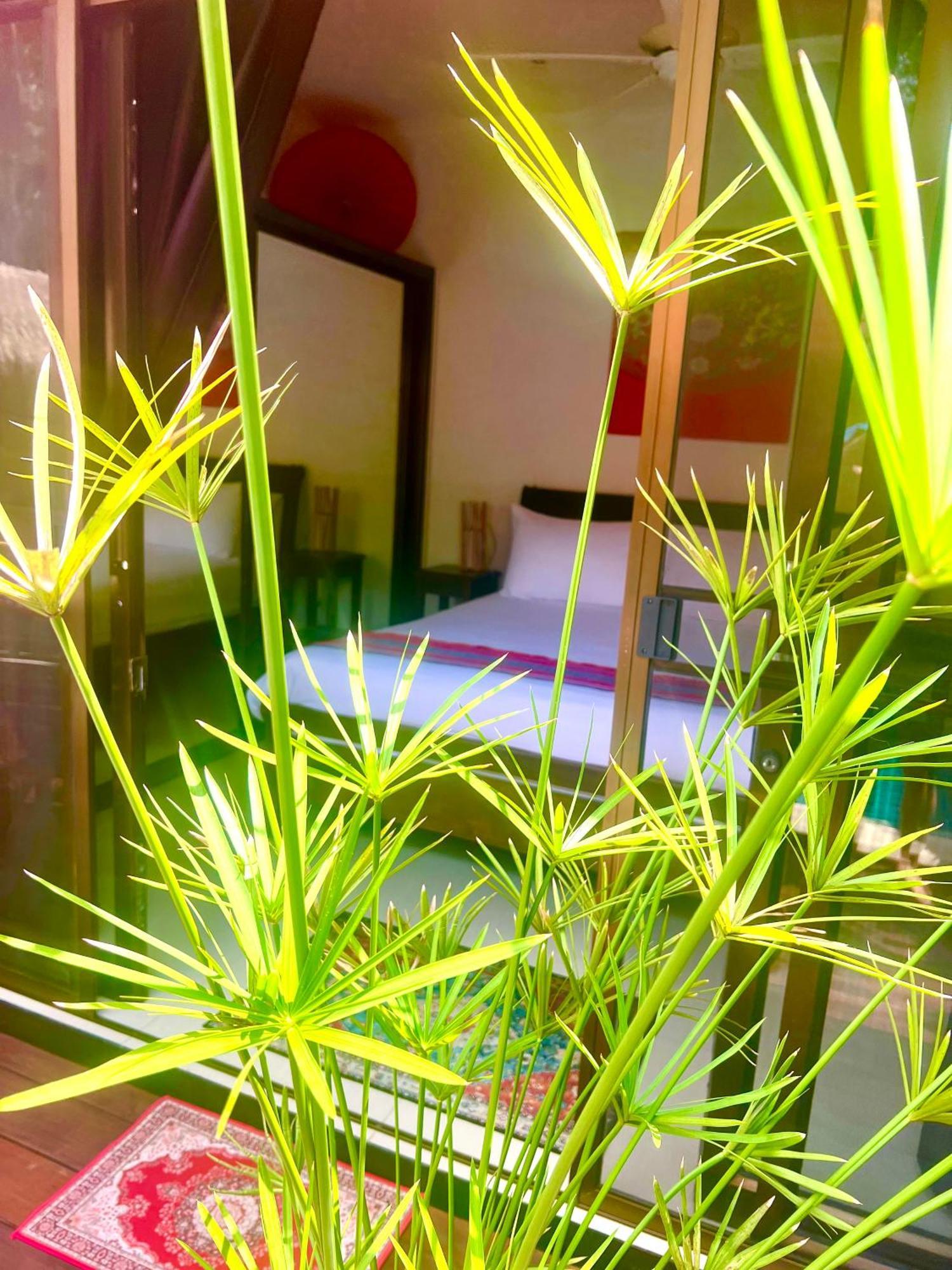 Jungle Pool * Koh Samui