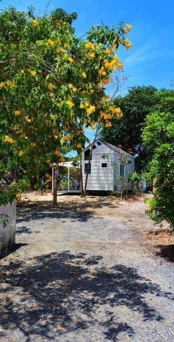 Holiday home Brand New Beachfront Tiny Oniro *