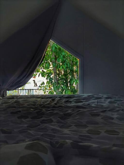 Brand New Beachfront Tiny Oniro Holiday home *