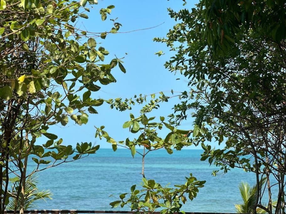 Brand New Beachfront Tiny Oniro *