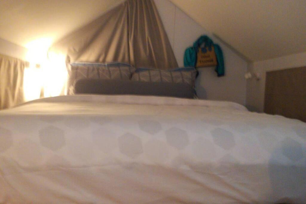 Brand New Beachfront Tiny Oniro Holiday home
