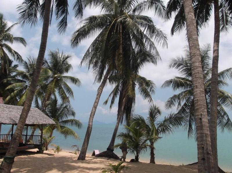 Palm Point Village Hotel