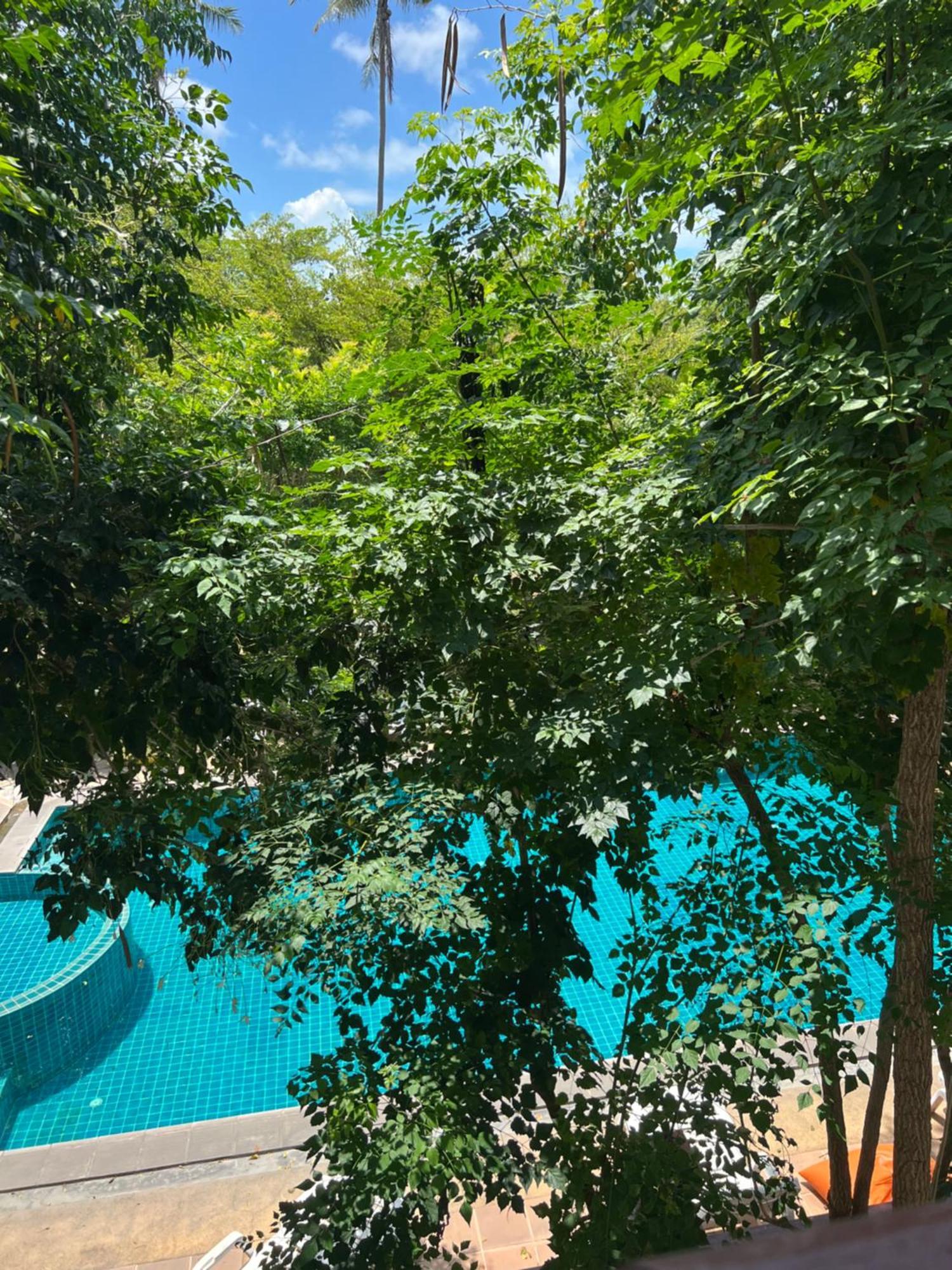 Samui Seabreeze Place 3* Koh Samui