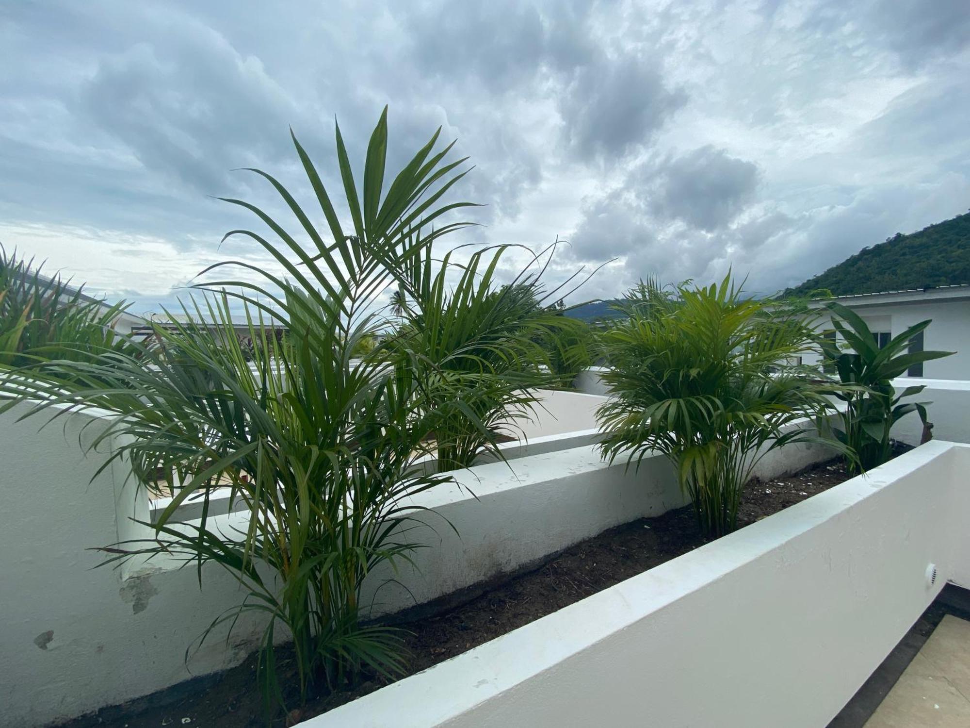 Aparthotel Crystal Bay Tropical