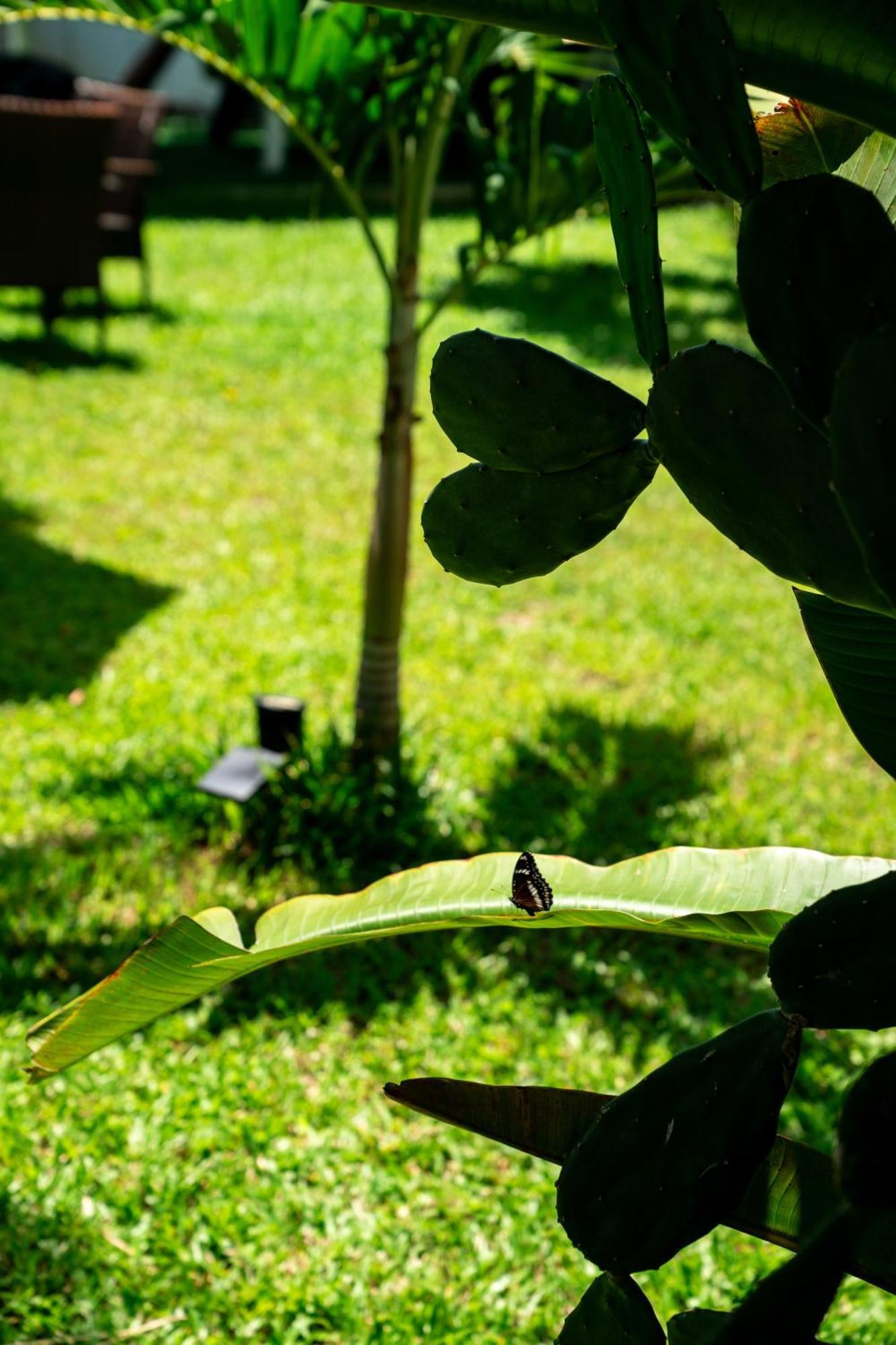 Koh Samui & Restaurant Maison d'hôtes