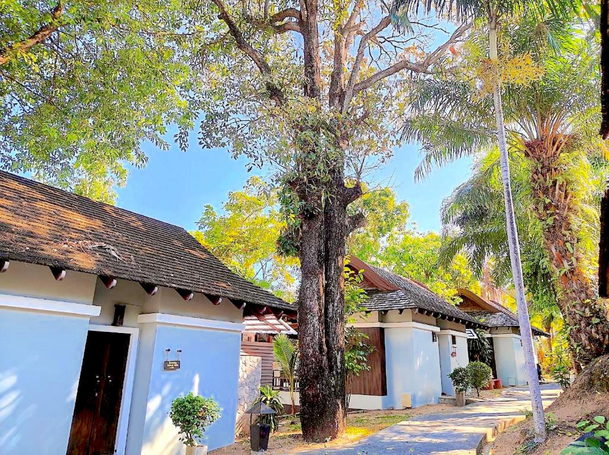 Bhundhari & Samui
