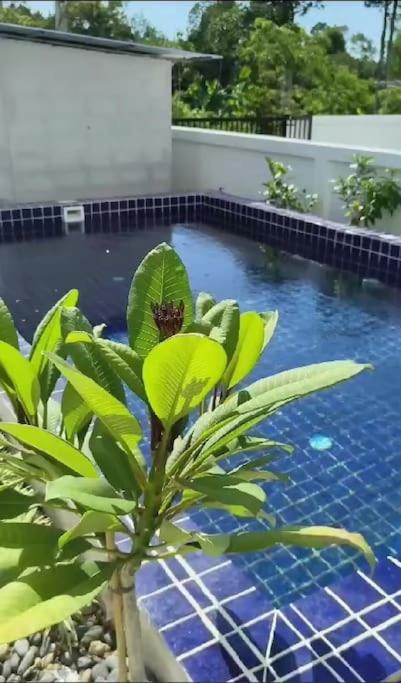 Waan Samui Pool
