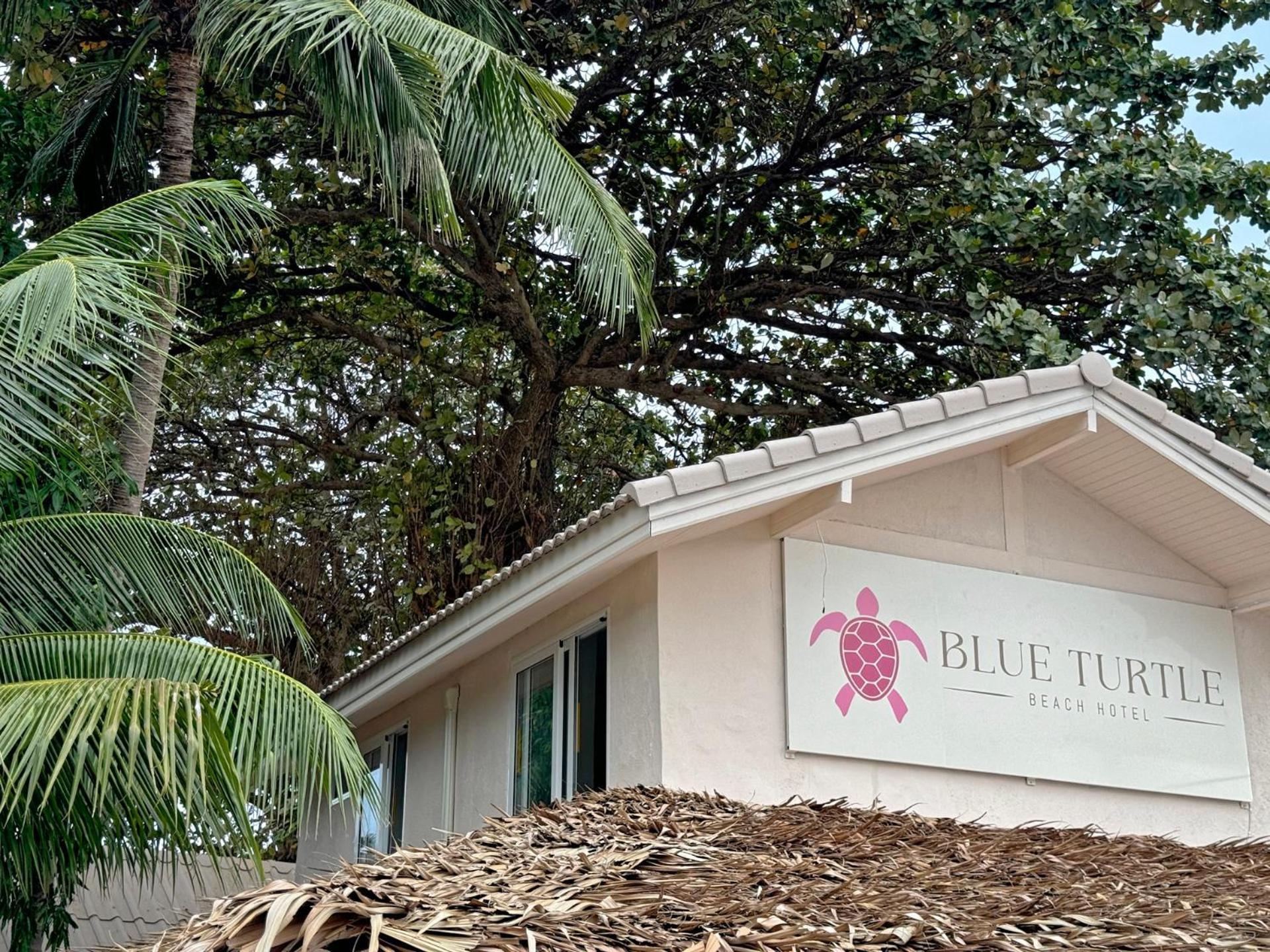 Blue Turtle Samui Chaweng