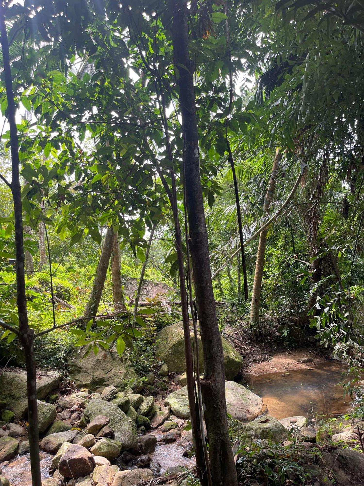 Acampamento Sz Samui Glamping *