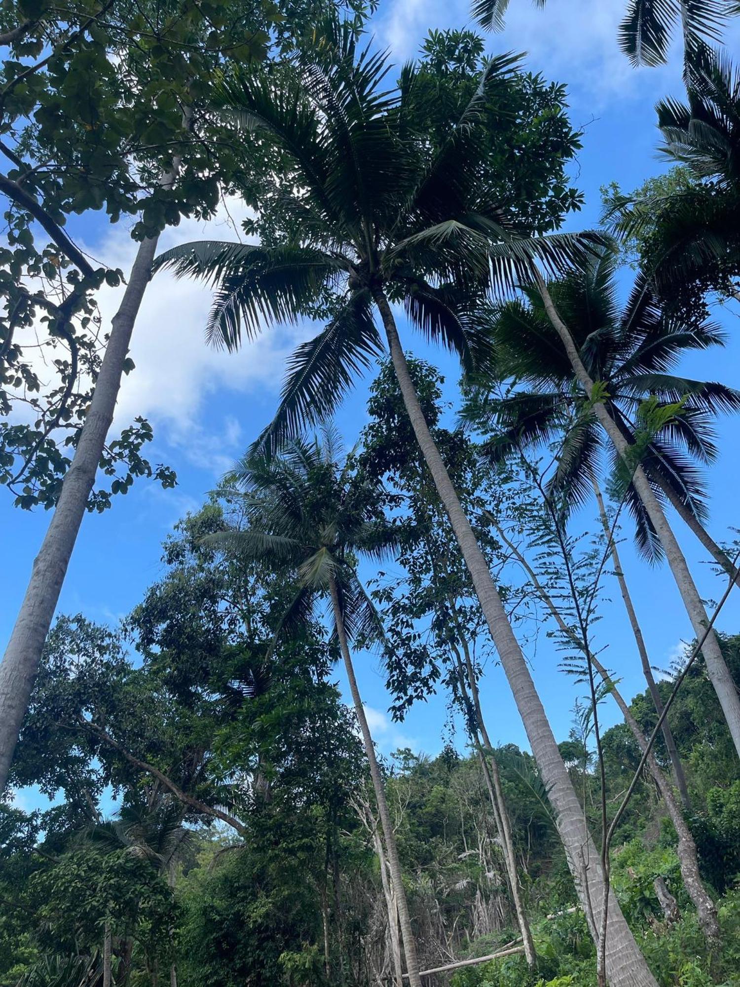 Sz Samui Glamping Ban Sa Ket