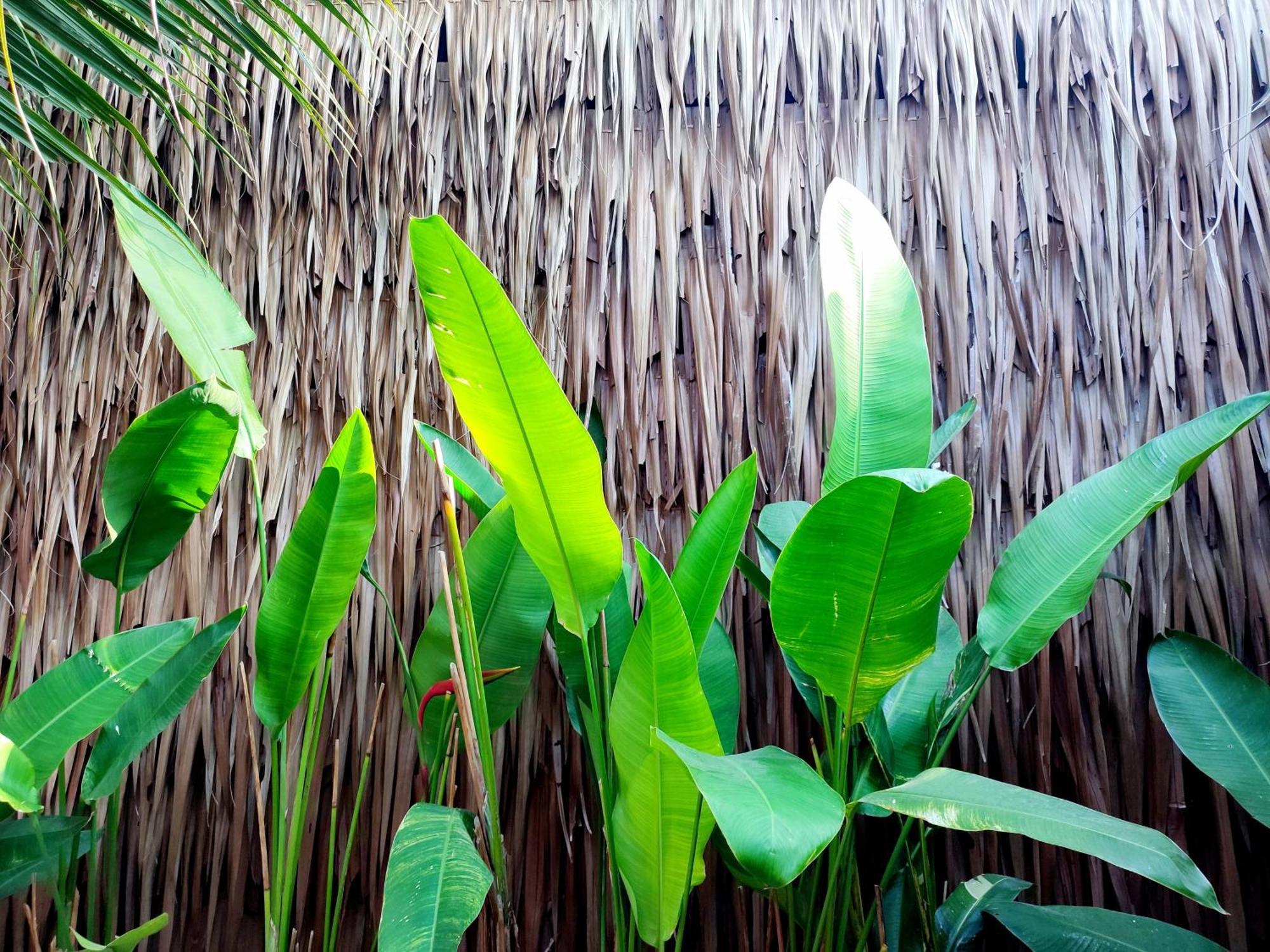 2br 2bath Eco Bungalow, Bangrak Beach, Koh Samui * Amphoe Koksamui