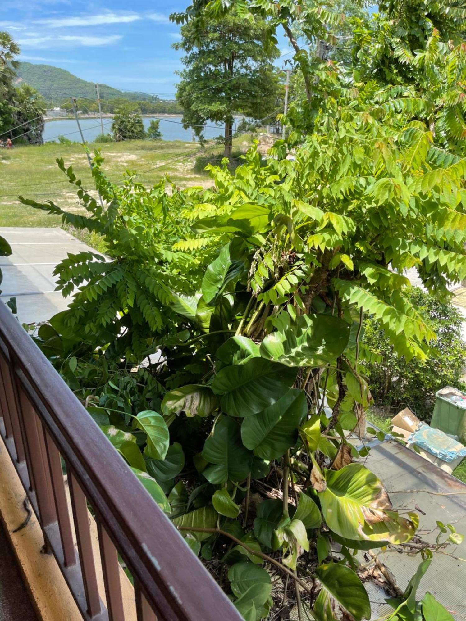 Dikachaya Auberge de jeunesse Plage de Chaweng