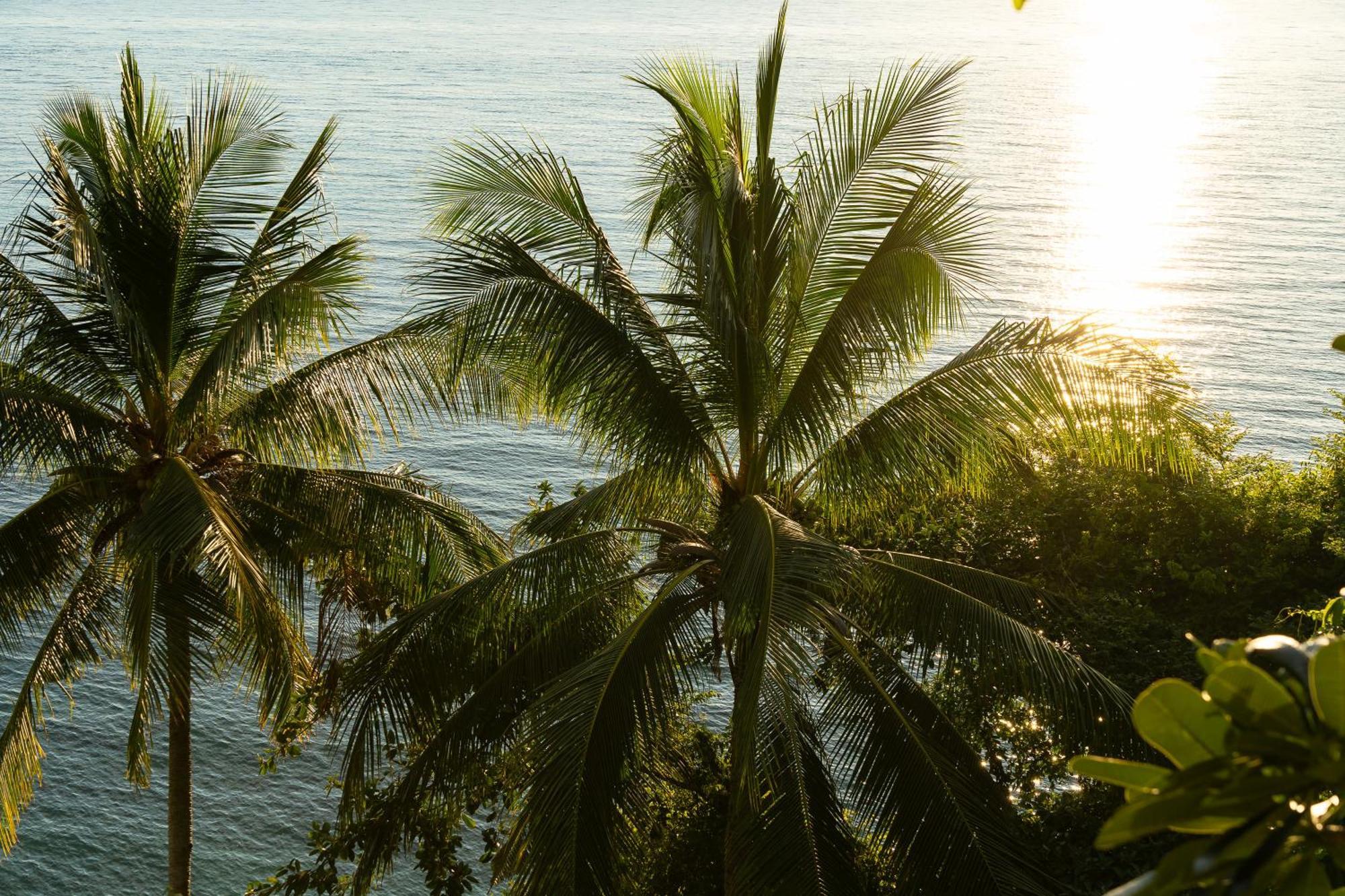 Villa Sunset With Wellness & Access *