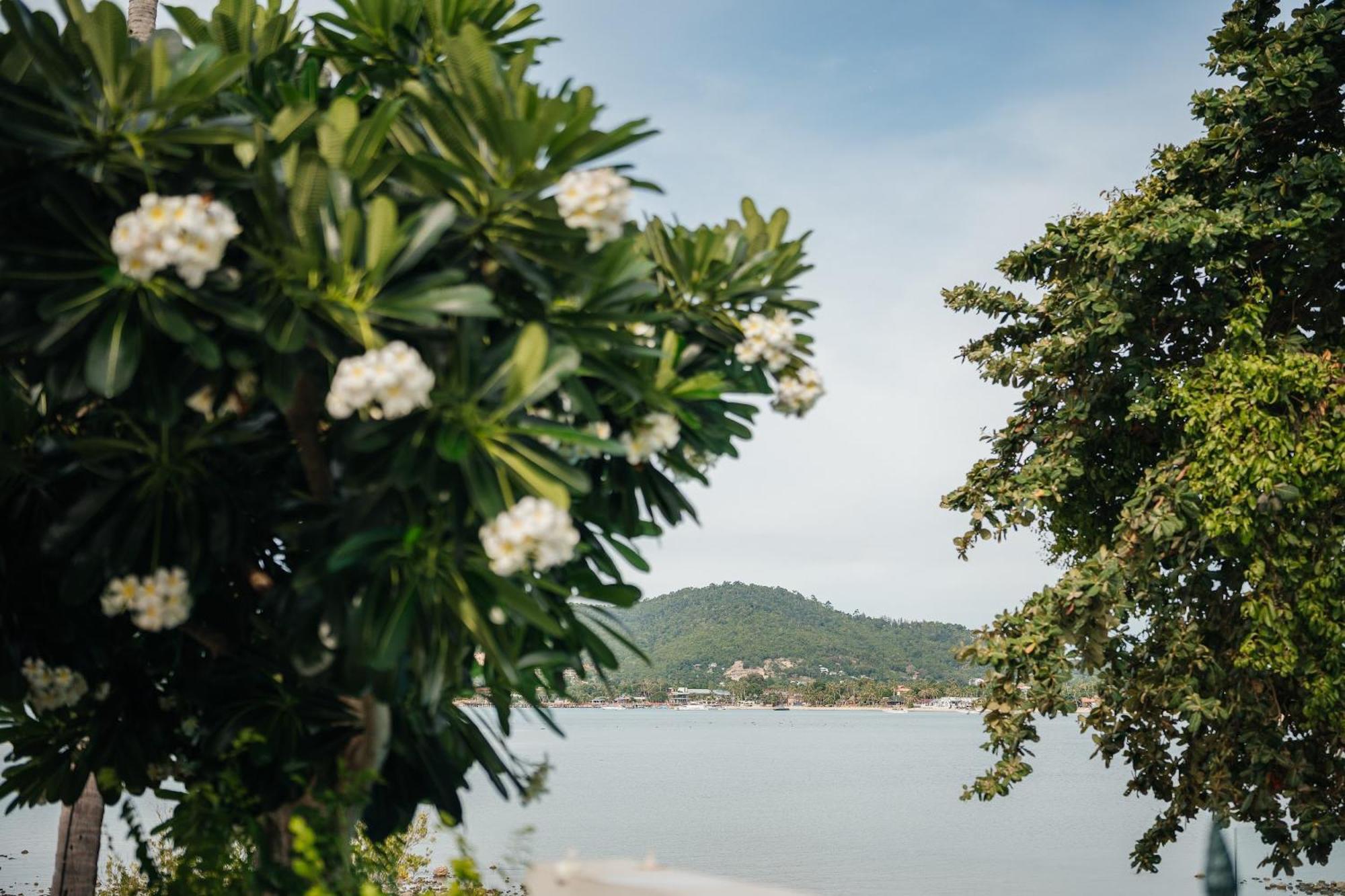 Villa Beachfront Secret Tides Mar *