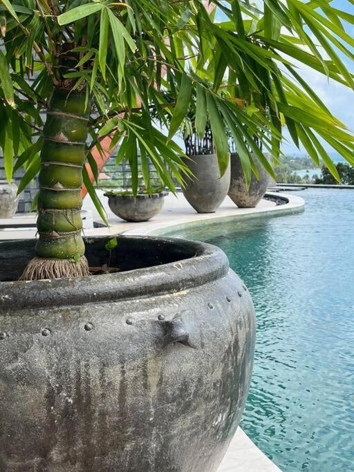 Villa Lamai Sarai Samui 5bdr Private Pool Amphoe Koksamui