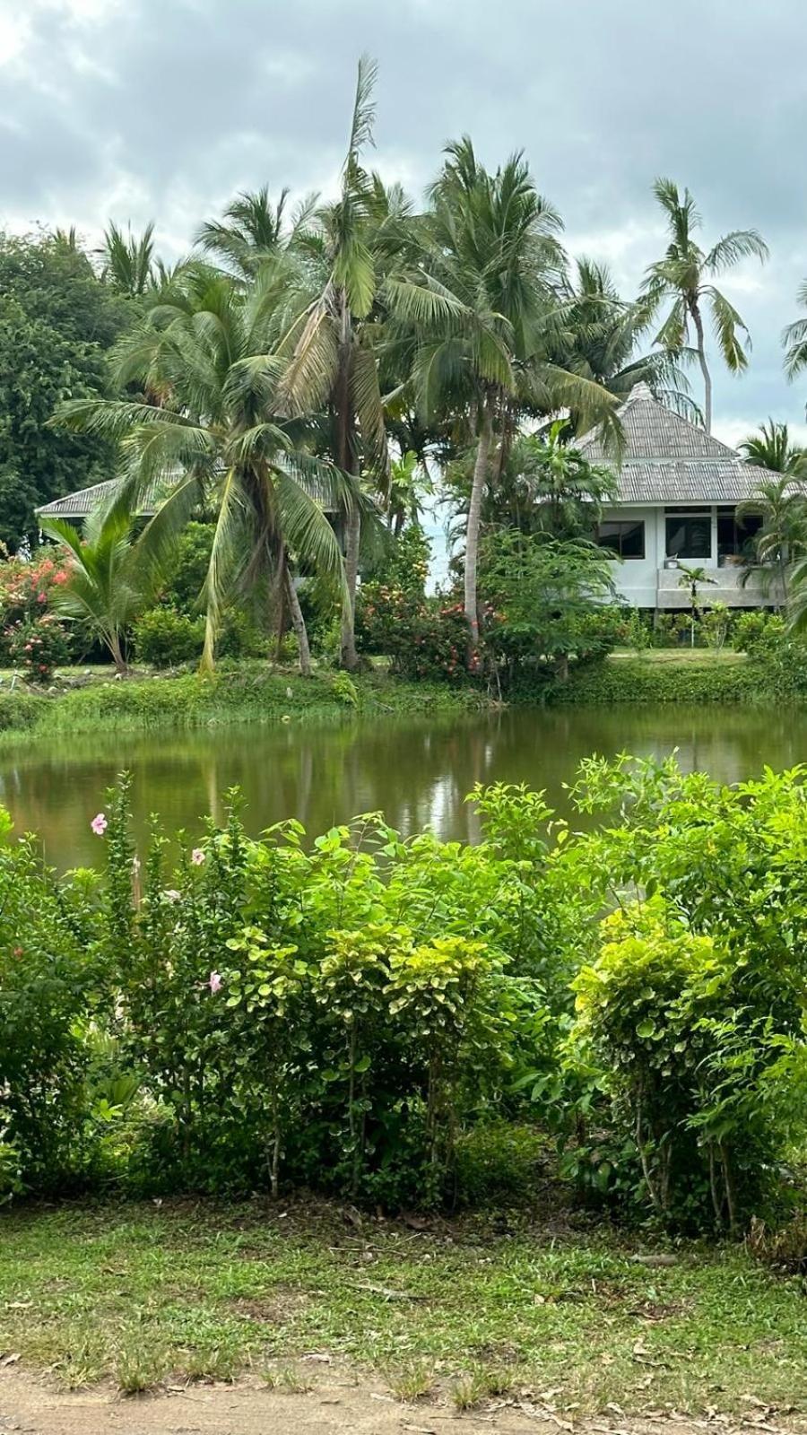 Aforetime Village *