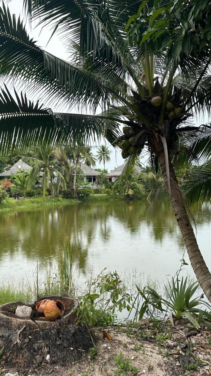 Villa Aforetime Village