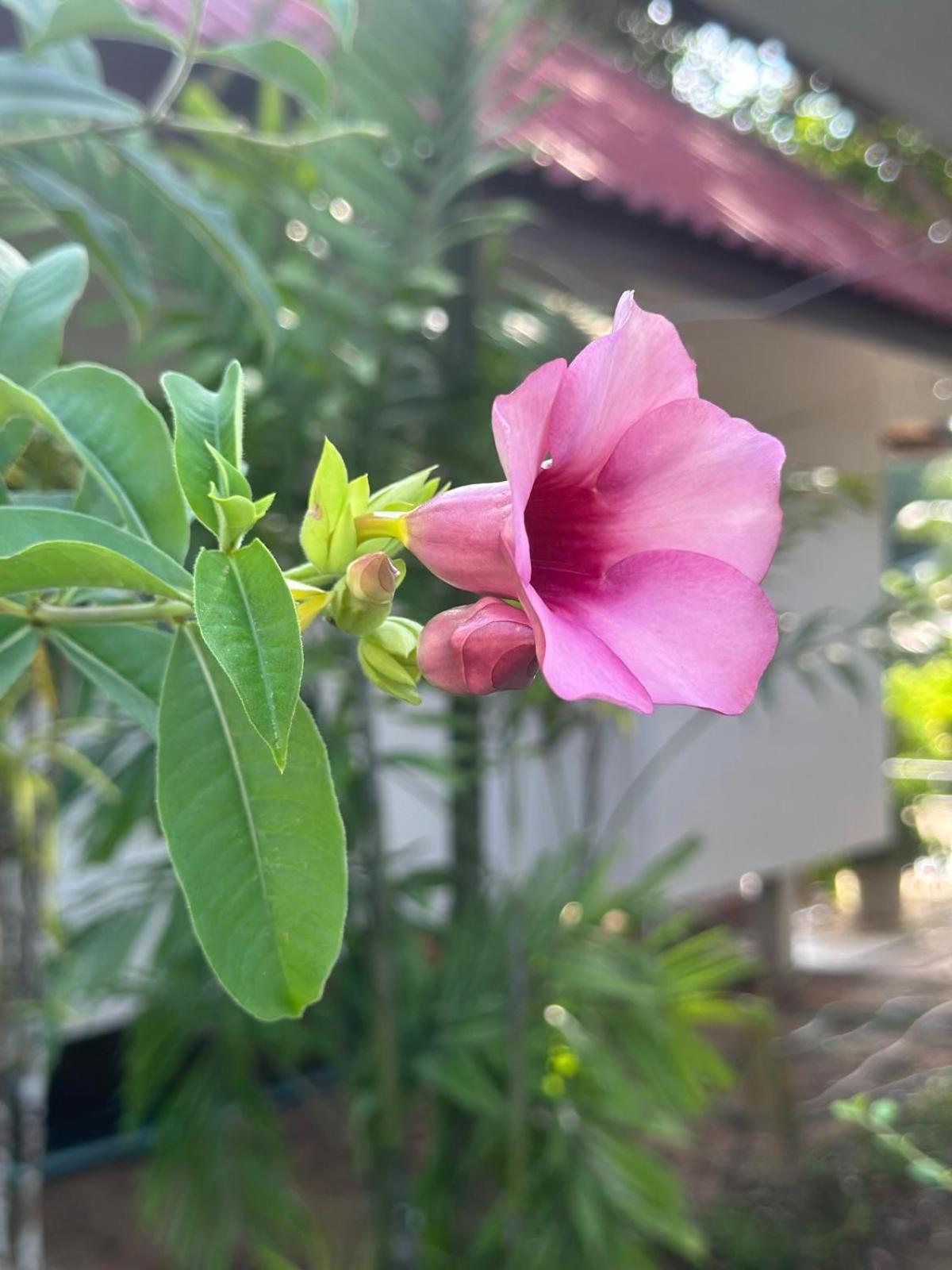 Villa Aforetime Village *