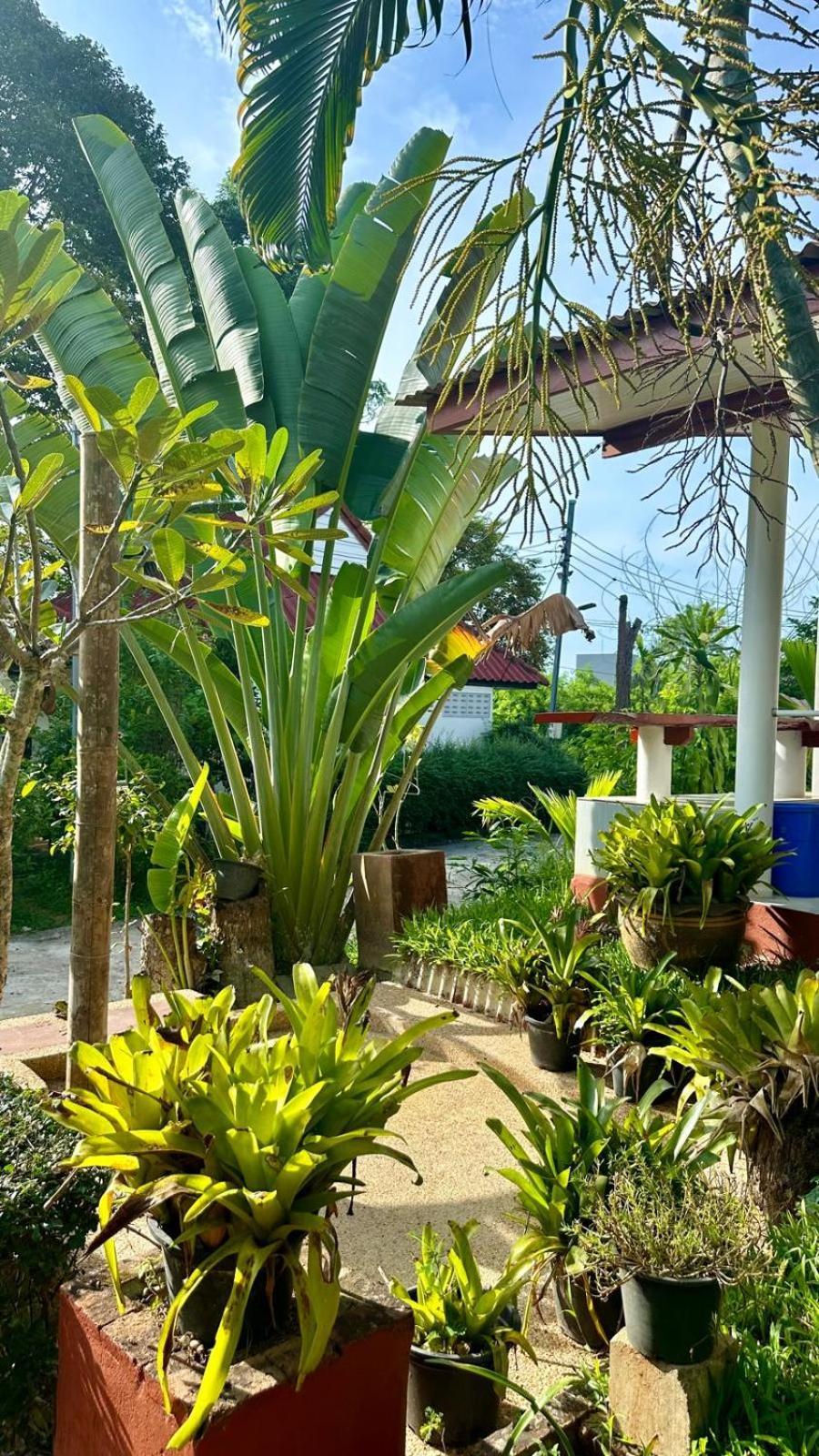 Aforetime Village